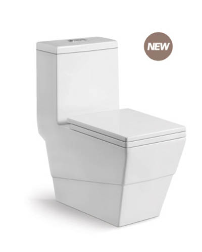 �o����������ʽ�B�w������